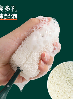 速发丝瓜瓤杯刷洗杯子神长水杯清洁器柄洗小刷子无死角去茶渍海绵