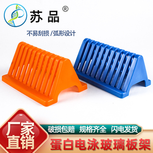 速发玻片沥水架 WB白蛋电泳制胶 玻璃板晾片架用伯乐电泳玻璃板架