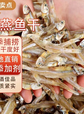 新货上市人吃小鱼干淡干海燕鱼干银鱼干公干鱼风干毛毛鱼海鲜干货