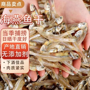 新货上市人吃小鱼干淡干海燕鱼干银鱼干公干鱼风干毛毛鱼海鲜干货