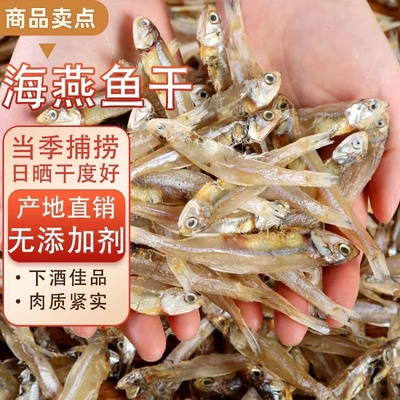 新货上市人吃小鱼干淡干海燕鱼干银鱼干公干鱼风干毛毛鱼海鲜干货