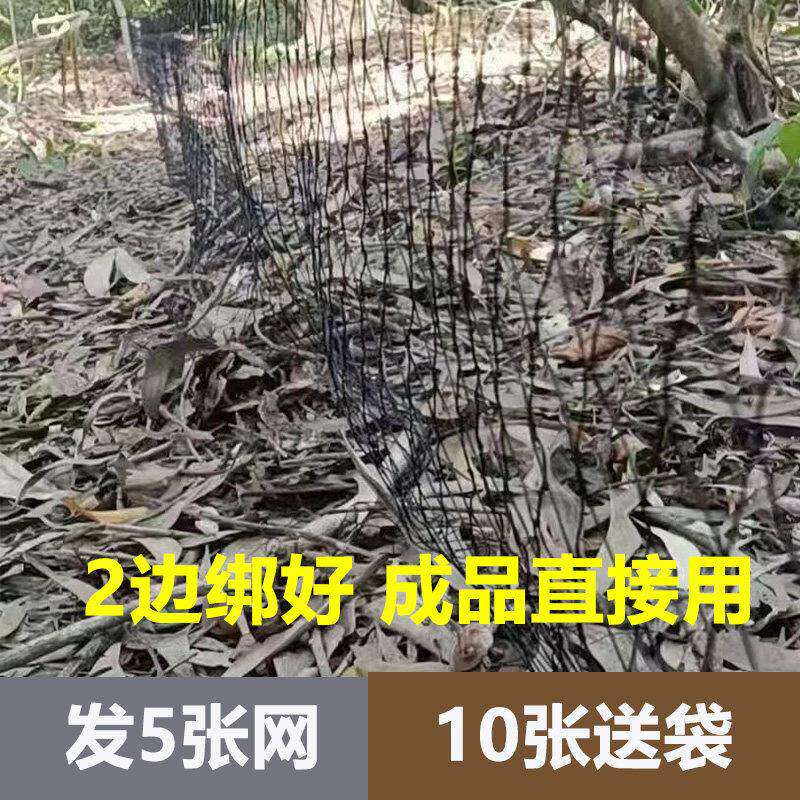 防辣条养殖专用防蛇尼龙网柔软高其它园艺用品