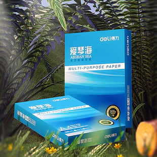 得力爱琴海复印纸双面打印A4打印用纸办公用品70克 a4纸莱茵河复印纸草稿纸佳铂打印纸 80克纯木浆整箱5包装