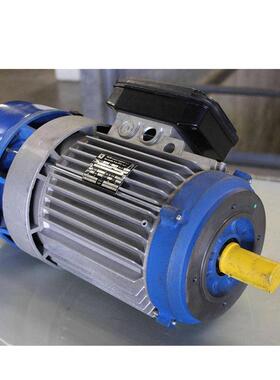 现货供应电机马达BAMW/VRPM三相异步电动机