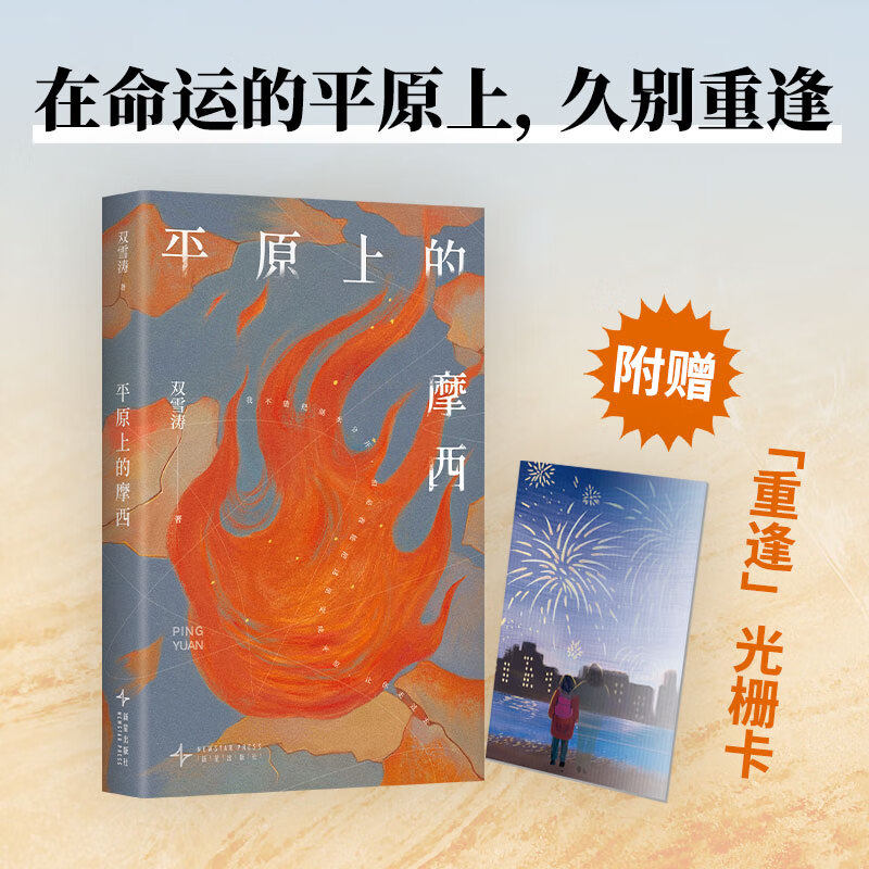 平原上的摩西 双雪涛刺杀小说家飞行家猎人聋哑时代翅鬼 周冬雨刘昊然主演电影《平原上的火焰》原著《我的朋友安德烈》原著小说