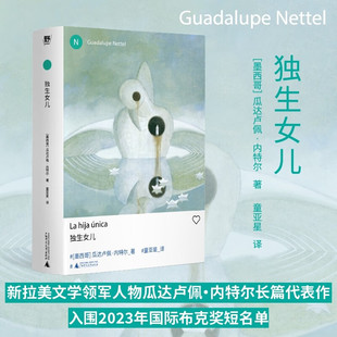 独生女儿 新拉美文学领军人物瓜达卢佩·内特尔长篇力作 重新探讨母职 家庭的定义 献给所有未抵达的母亲与非典型的生命 野望