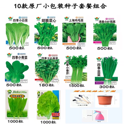 菜种春天的各子季蔬籽大全