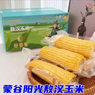 蒙谷阳光有机敖汉玉米内蒙古特产香糯黄玉米软糯香甜黄金小粒粗粮