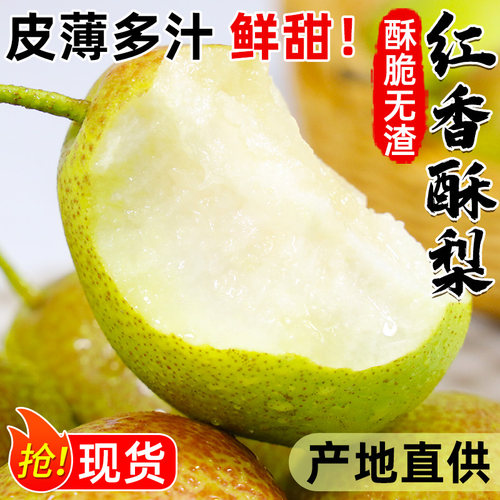 产地直供红香酥梨入口化渣