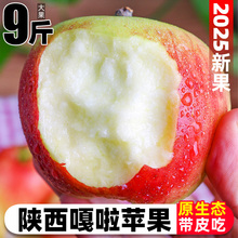 2025嘎啦苹果新鲜水果当季整箱10斤红富士脆甜冰糖丑青小平果包邮