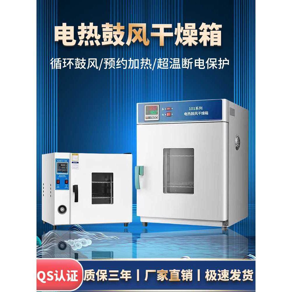 恒温电热实鼓风干燥箱验室小型烘箱食品烘干机工业高温烤箱烘干箱