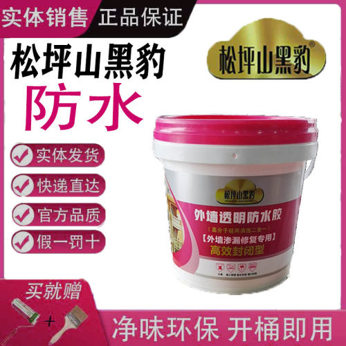 黑豹透明防水外墙专用涂料浴室厨厕所卫生间免砸砖补漏材料速干