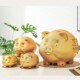 陶瓷金猪存钱罐不可取礼品大容量大人儿童只进不出家用储蓄罐摆件
