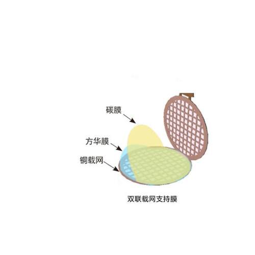 现货迈普斯国产双联铜网[普通]碳膜碳支持膜TERM透射电镜载网耗材