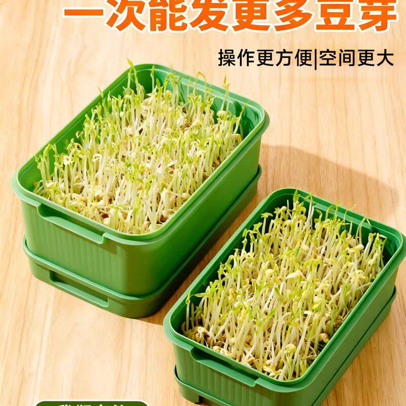速发家用豆芽发芽盆级绿豆芽种植箱专用育苗盘生黄绿豆芽育豆苗盒