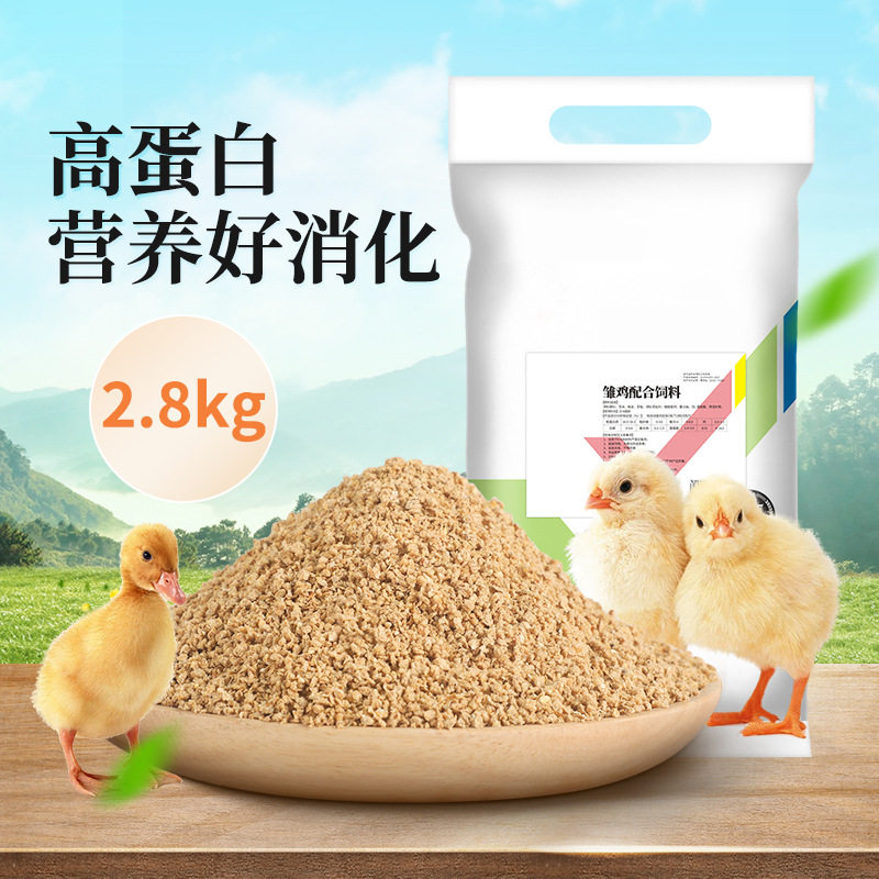 华畜华畜小鸡芦丁鸡饲料添加剂