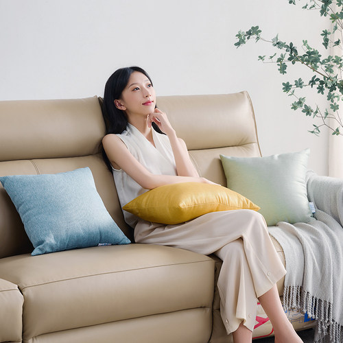 芝华仕精美抱枕官方旗舰店