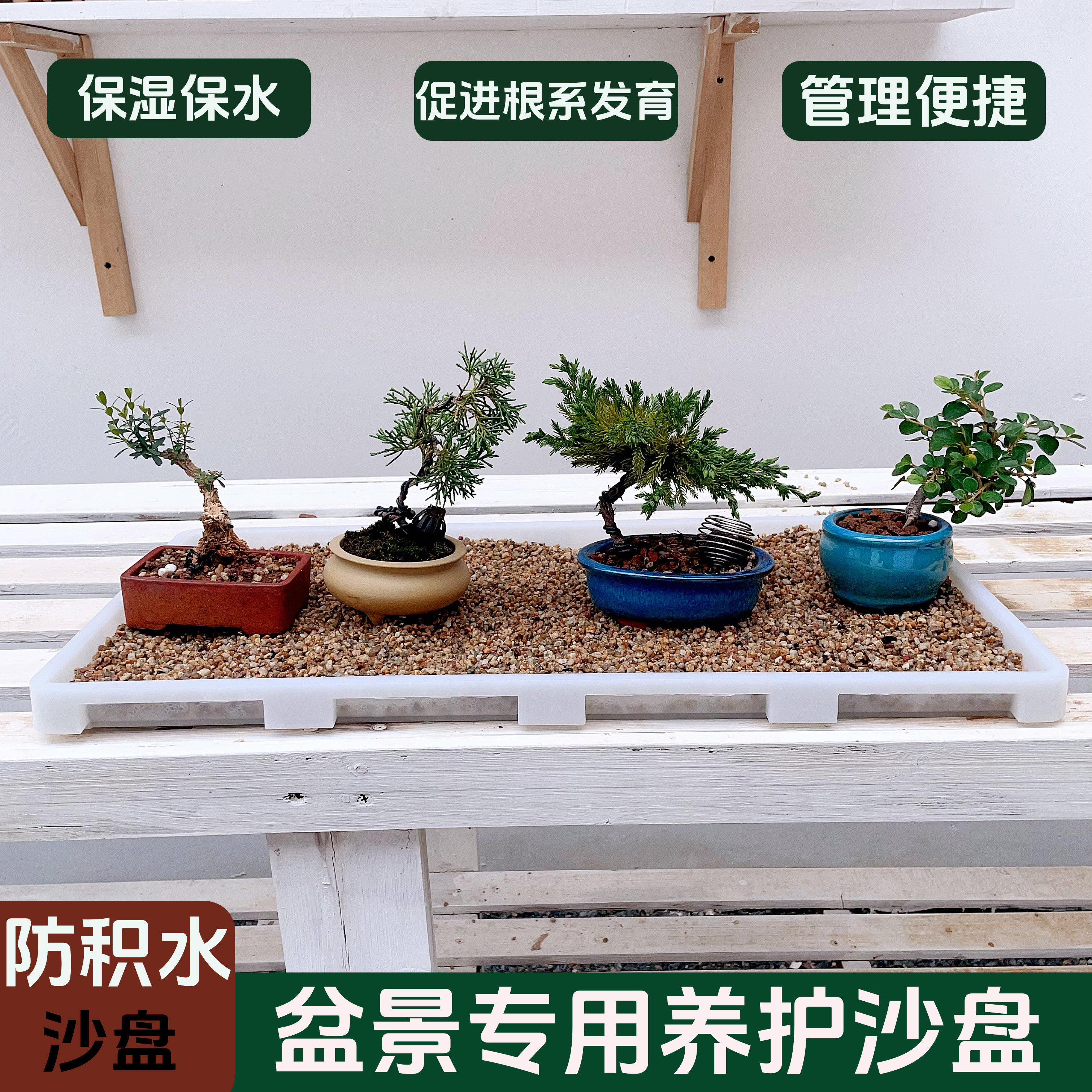 阳台沙盘盆景加厚透气防积水