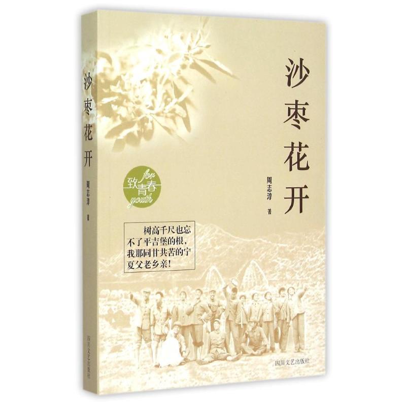 周志淳沙枣花开（正版旧书包邮）四川文艺出版社9787541140709