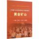 许大纯 冶金工业出版 吕振福 正版 冯安生 包邮 编黄金矿山 旧书 社9787502475598