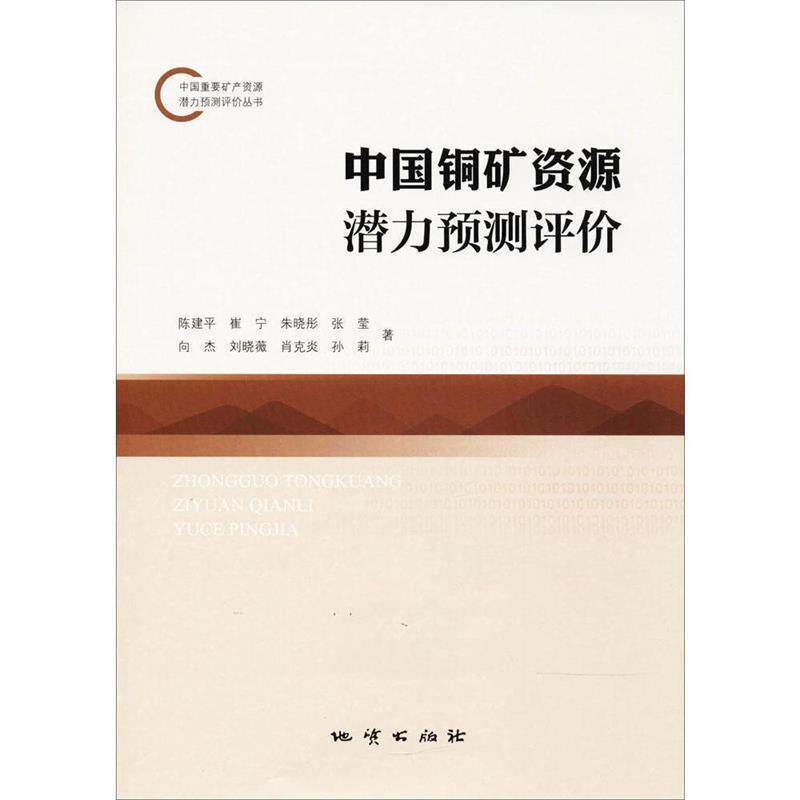 陈建平,崔宁,朱晓彤,张莹,向杰 等 著中国铜矿资源潜力预测评价(正版旧书包邮)地质出版社9787116103290