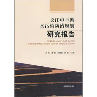 王东,徐敏,吴悦颖 等 编长江中下游水污染防治规划研究报告(正版旧书包邮)中国环境出版社9787511112989
