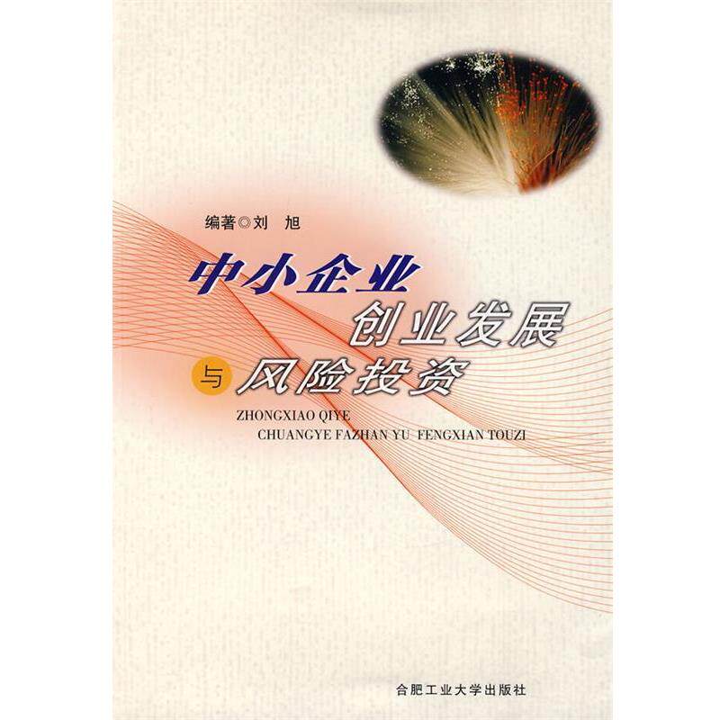 刘旭 编著中小企业创业发展与风险投资（正版旧书包邮）合肥工业大学出版社9787810936576