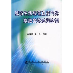 王海瑞,王华 编著城市生活垃圾直接气化熔融焚烧过程控制(正版旧书包邮)冶金工业出版社9787502444198
