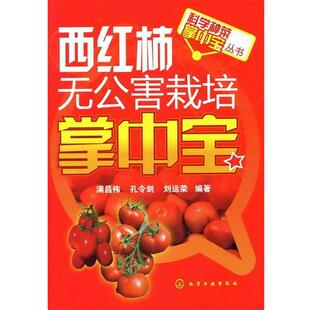 编著科学种菜掌中宝丛书 西红柿无公害栽培掌中宝 化学工业出版 孔令剑 社9787122112460 包邮 刘运荣 旧书 满昌伟 正版