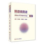 刘毅智 人民卫生出版 刘凤英 正版 张志胜 包邮 主编阴道镜图谱 旧书 社9787117225021
