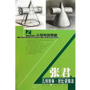 张君 著美院加油站·从结构到明暗（正版旧书包邮）湖北美术出版社9787539433332