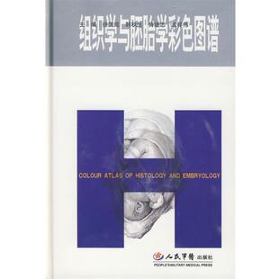徐国成 等主编组织学与胚胎学彩色图谱(正版旧书包邮)人民军医出版社9787509126127