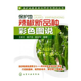 包邮 社 编著保护地蔬菜新品 种彩色图说 正版 保护地辣椒新品 胡永军 种彩色图说丛书 化学工业出版 王新文 旧书 潘子龙