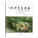 中国林业出版 唐山园林规划设计研究院风景怎生图画:唐山园林规划设计优秀作品选编 包邮 旧书 社9787503884122 正版