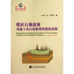 染冰,肖利萍煤矸石淋溶液对地下水污染机理和数值预测(正版旧书包邮)辽宁科学技术出版社9787538174557