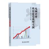 中国电力出版 国网河北省电力有限公司工会组 社9787519824211 旧书 包邮 编电网企业班组建设典型实例 正版