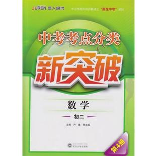 尹雄,张东红　主编中考考点分类新突破·数学·初二第4册（正版旧书包邮）武汉大学出版社9787307152045