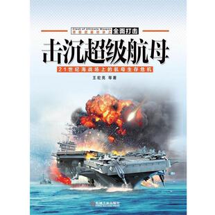 王宏亮 等 著击沉超级航母-21世纪海战场上的航母生存危机（正版旧书包邮）机械工业出版社9787111494621