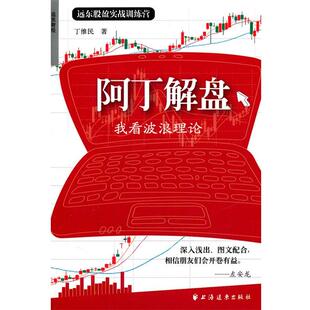 丁维民 著阿丁解盘（正版旧书包邮）上海远东出版社9787547603819
