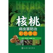 等核桃病虫害防治彩色图说 化学工业出版 正版 包邮 社9787122193629 旧书 曹挥