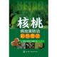 等核桃病虫害防治彩色图说 化学工业出版 正版 包邮 社9787122193629 旧书 曹挥