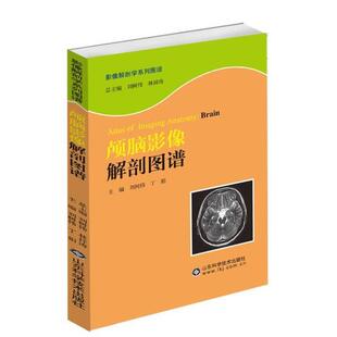丁娟,刘树伟颅脑影像解剖图谱（正版旧书包邮）山东科学技术出版社9787533169275