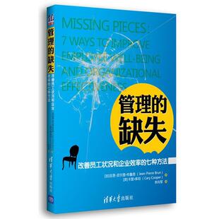 [加]吉恩-皮尔里•布鲁恩(Jean-Pierre Brun),[英]卡里•库珀(Cary Cooper) 著,李向军 译管理的缺失：改善员工状况和企业效率