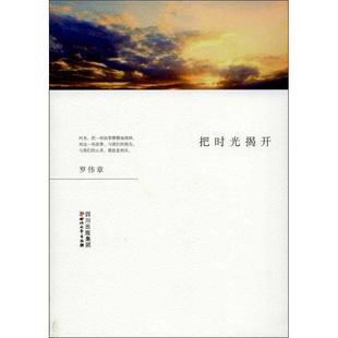 罗伟章 著把时光揭开(正版旧书包邮)四川文艺出版社9787541137280