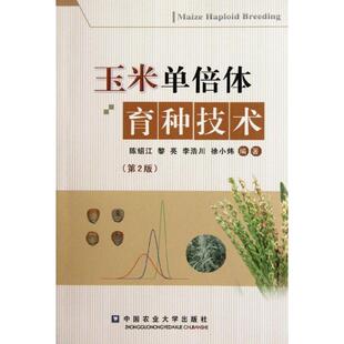徐小炜玉米单倍体育种技术 正版 旧书 陈绍江 中国农业大学出版 李浩川 包邮 社9787565504426 黎亮
