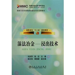 正版 主编湿法冶金__浸出技术刘洪萍 旧书 包邮 社9787502453893 刘洪萍 冶金工业出版 徐征