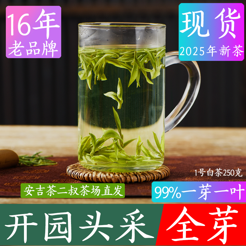 發順豐安吉產地白茶頭采全嫩芽