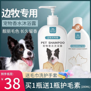 宠物狗狗边牧边境牧羊犬专用沐浴露杀菌留香洗澡香波浴液