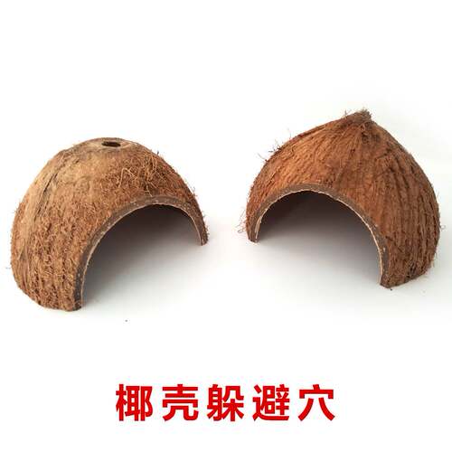 陆龟躲避屋躲避屋爬虫
