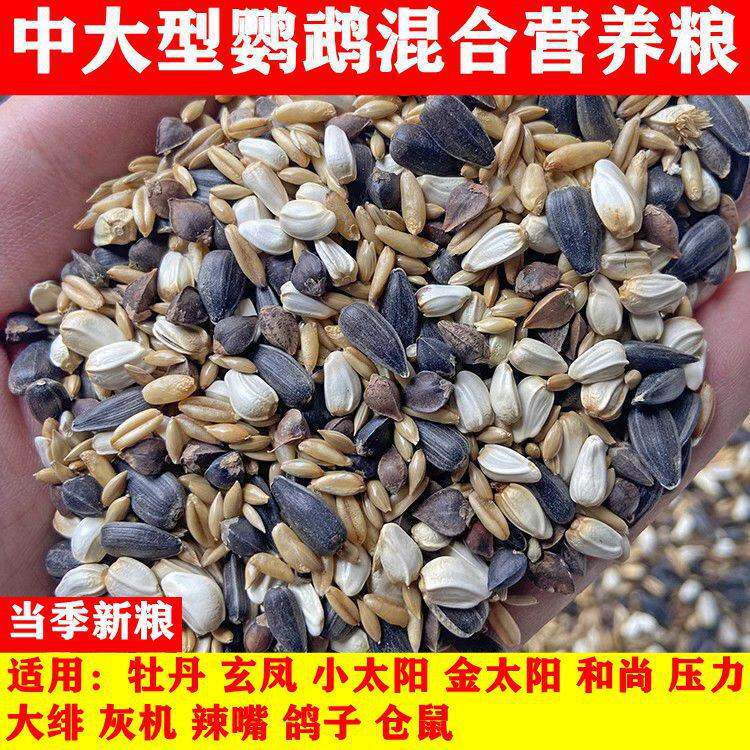 中大型鹦鹉混合营养粮玄凤亚历灰鹦鹉饲料鸟粮鸟食鸽子粮5斤包邮怎么看?
